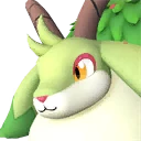 灌木羊